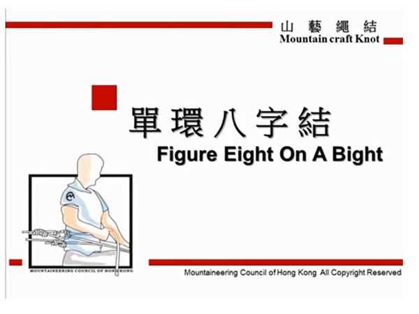 Figure Eight On A Bight單環八字結 